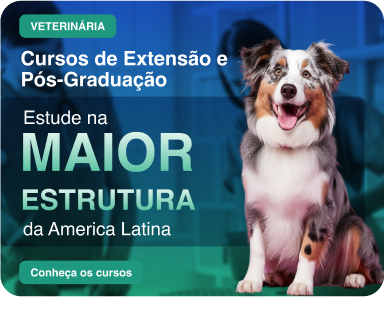 Extensão